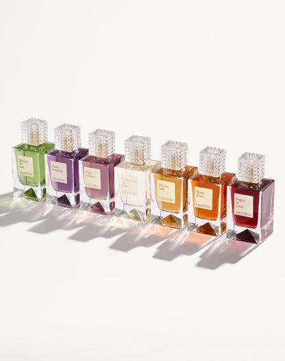 Anatomy Of Dreams - Notte D'Oro Parfum